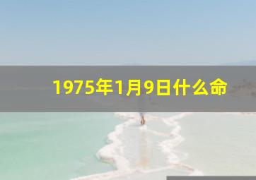 1975年1月9日什么命