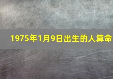 1975年1月9日出生的人算命