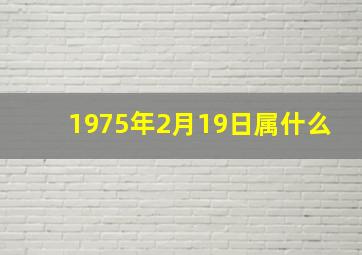 1975年2月19日属什么