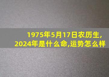 1975年5月17日农历生,2024年是什么命,运势怎么样