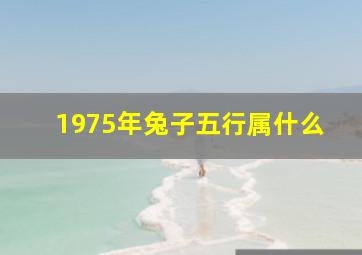 1975年兔子五行属什么