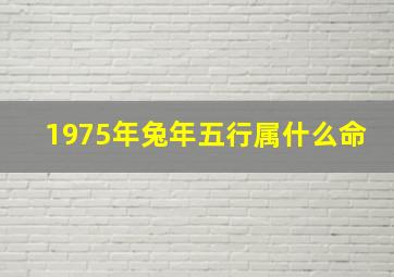 1975年兔年五行属什么命