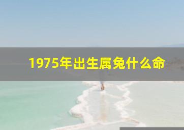 1975年出生属兔什么命