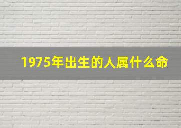 1975年出生的人属什么命