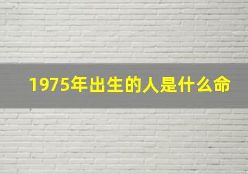 1975年出生的人是什么命