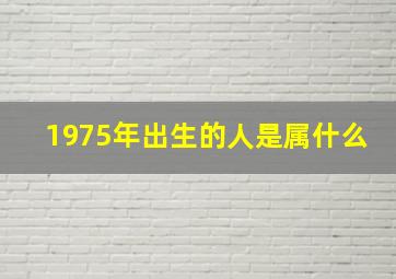 1975年出生的人是属什么