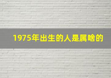 1975年出生的人是属啥的