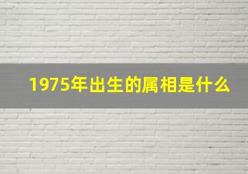 1975年出生的属相是什么