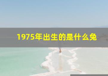 1975年出生的是什么兔