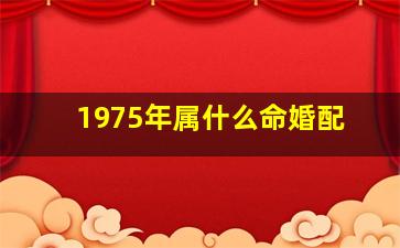 1975年属什么命婚配