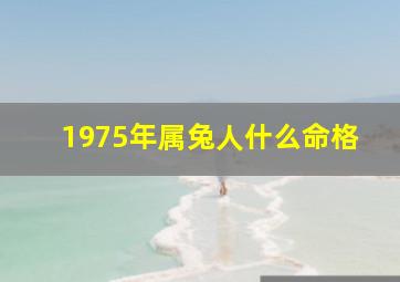 1975年属兔人什么命格