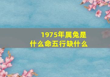 1975年属兔是什么命五行缺什么