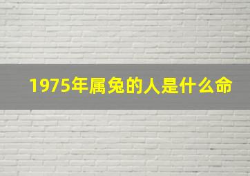 1975年属兔的人是什么命