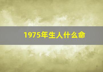 1975年生人什么命