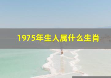 1975年生人属什么生肖