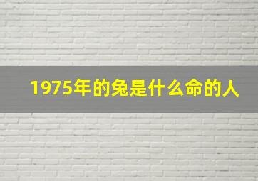 1975年的兔是什么命的人