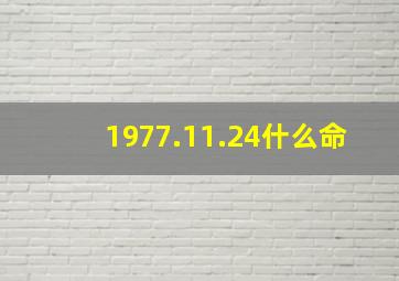 1977.11.24什么命