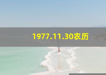 1977.11.30农历