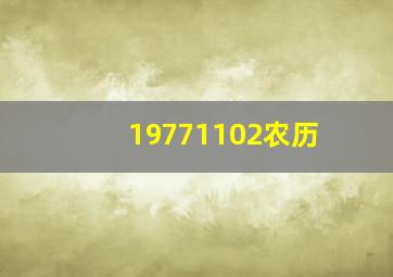 19771102农历