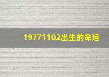 19771102出生的命运