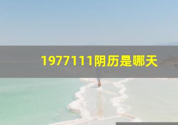 1977111阴历是哪天