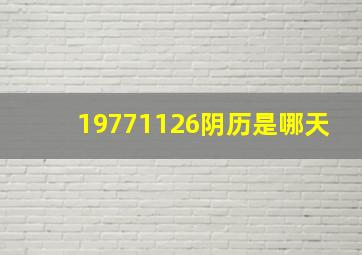 19771126阴历是哪天