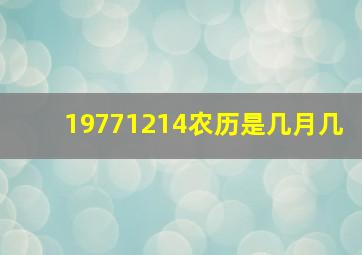 19771214农历是几月几