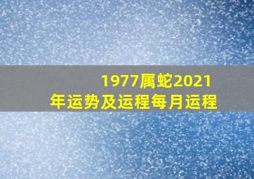 1977属蛇2021年运势及运程每月运程