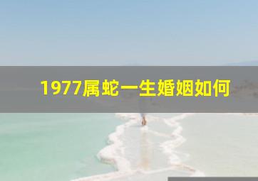 1977属蛇一生婚姻如何