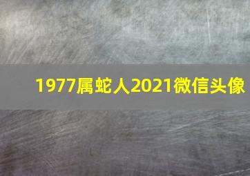 1977属蛇人2021微信头像