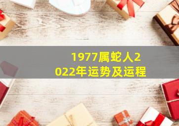 1977属蛇人2022年运势及运程