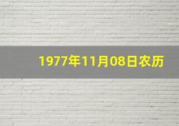 1977年11月08日农历