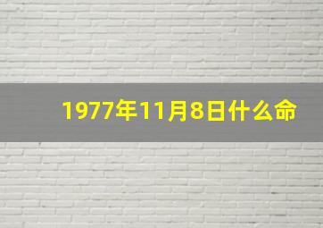 1977年11月8日什么命