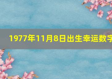 1977年11月8日出生幸运数字