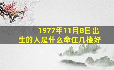 1977年11月8日出生的人是什么命住几楼好