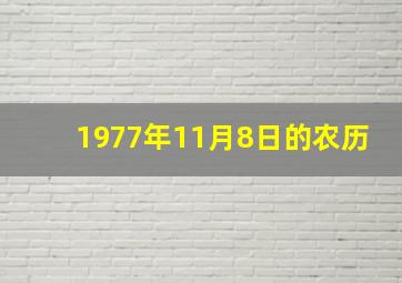 1977年11月8日的农历