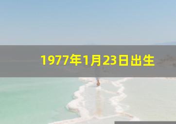 1977年1月23日出生