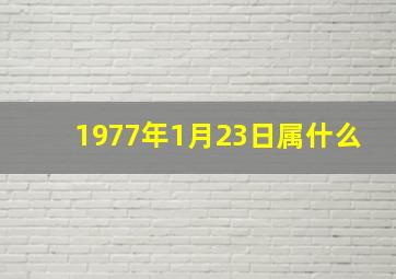 1977年1月23日属什么