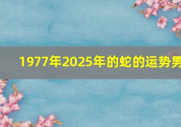 1977年2025年的蛇的运势男