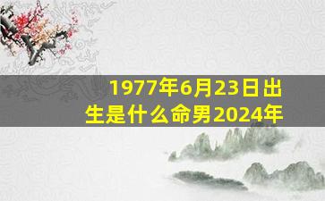 1977年6月23日出生是什么命男2024年