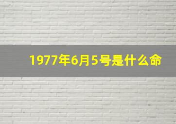 1977年6月5号是什么命