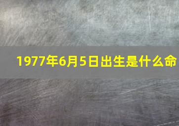 1977年6月5日出生是什么命