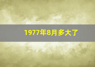 1977年8月多大了