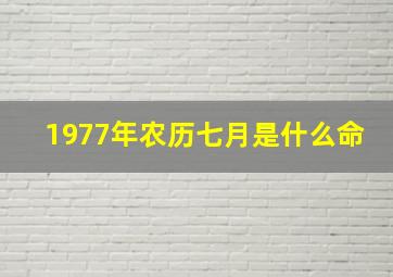 1977年农历七月是什么命