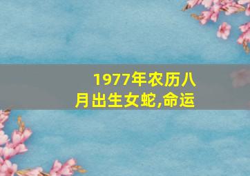 1977年农历八月出生女蛇,命运