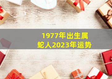 1977年出生属蛇人2023年运势