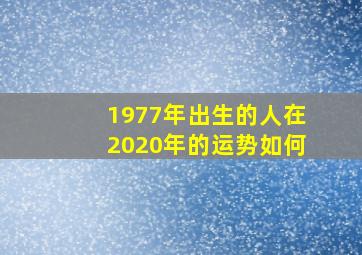 1977年出生的人在2020年的运势如何