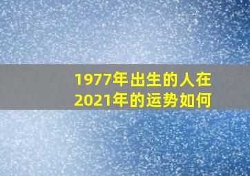 1977年出生的人在2021年的运势如何