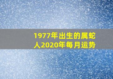 1977年出生的属蛇人2020年每月运势