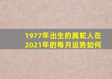 1977年出生的属蛇人在2021年的每月运势如何